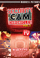 Security Cam Chronicles 02